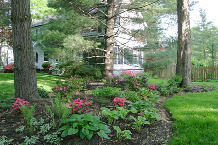 a picture of a side-yard shade garden