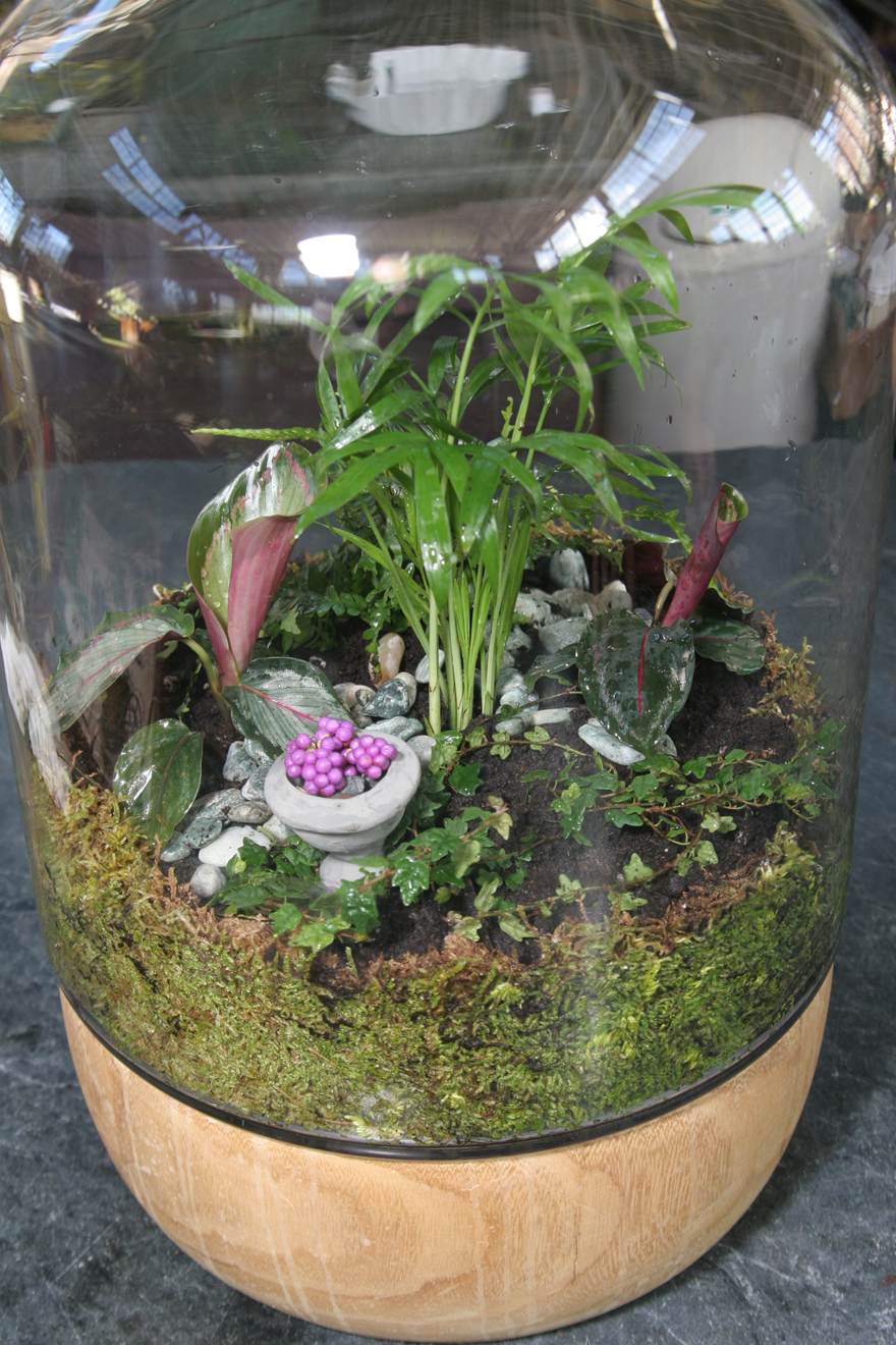 A picture of a finished terrarium