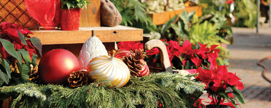 An image of holiday greens