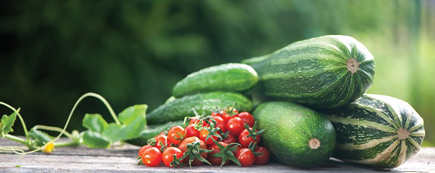 A photo of harvested vegetables