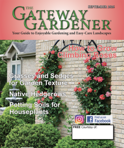 Cover of The Gateway Gardener September 2026 issue featuring salmon-colored climbing rose